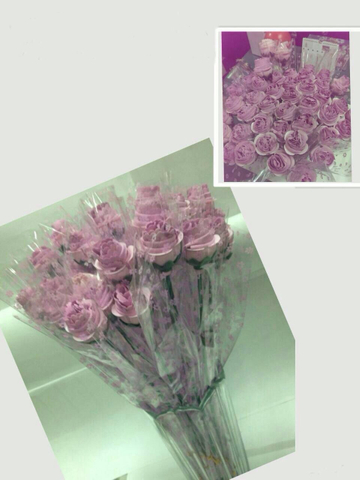 塑膠玫瑰花束贈品