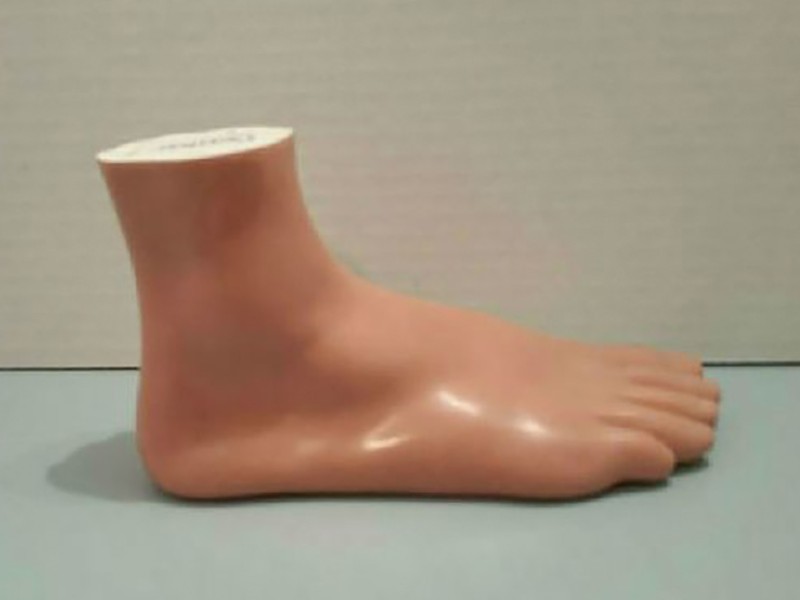 客製醫療教學器官腳模型